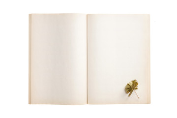 empty(blank) note spread with leaf isolated on the white background.