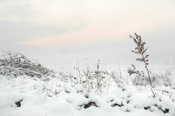 Winter im Teufelsmoor bei Sonnenaufgang 