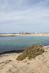 Obraz premium Playa La Concha, El Cotillo, Fuerteventura