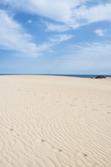 Fototapeta na wymiar Dunes and Grandes Playas Corralejo, Fuerteventura