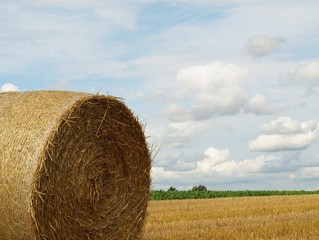 Nahaufnahme eines Strohballens