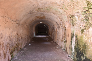 Fototapeta premium Italy, Puglia, Egnazia. XVth century BC. Archaeological area of the city of Puglia. The cryptoporticus
