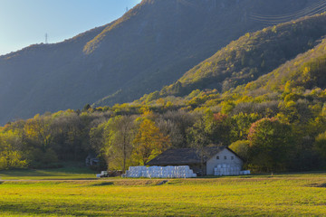 Rustico con balle di fieno immerso negli alberi autunnali