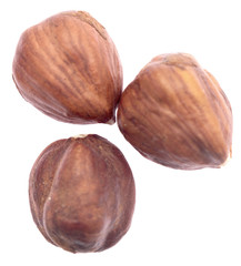 hazelnuts on white