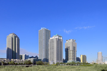 Fototapeta premium 横浜ポートサイド地区の風景