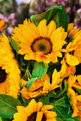 A bouquet from bright yellow sunflowers at the flower market. Chiang Mai, Thailand.