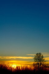 Beautiful Sunset. Blue sky, setting sun and the outline of the tree.