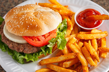 Hamburger with Spicy Fries
