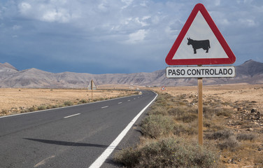 Road in Fuerteventura, Canary