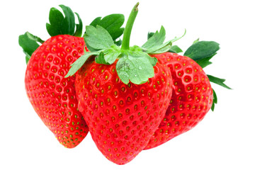 Beautiful strawberries isolated on white