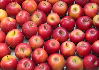 bunch of apples on the table