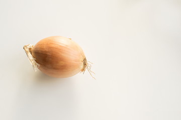 The onion peel on white background