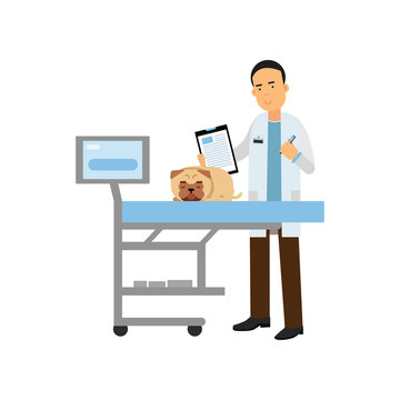 Cheerful male veterinary doctor examining dog in vet clinic, colorful cartoon vector Illustration