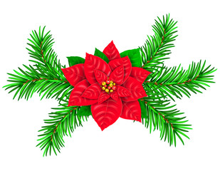 Poinsetia and spruce branches