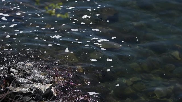 Lake Sevan waves on rocky beach