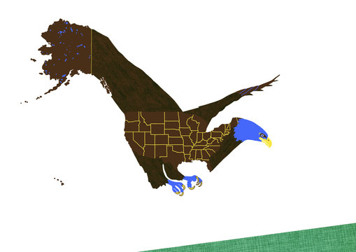 American Bald Eagle - drawing with map