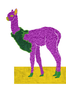 Peruvian Alpaca - drawing with map