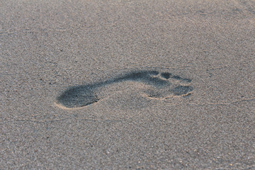 footprint on the sand at the beach