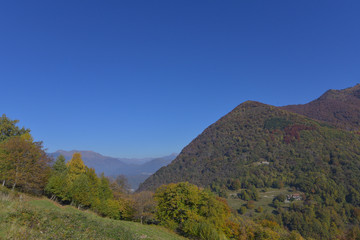 Panoramica autunnale con alberi colorati e montagna 