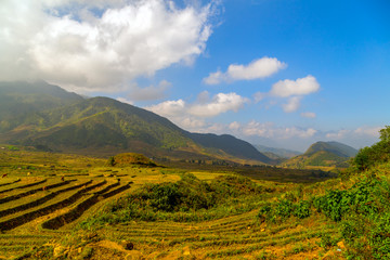 Fototapeta premium Rice fields on terraced mountain farm landscapes. Natural travel background.