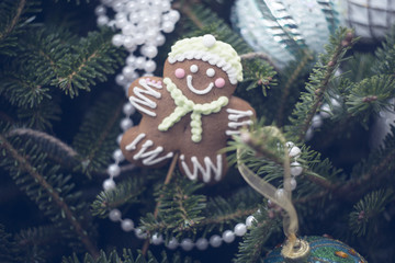 A gingerbread on fir tree branches