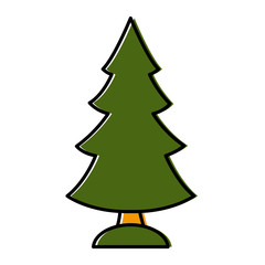 Tree pine isolated