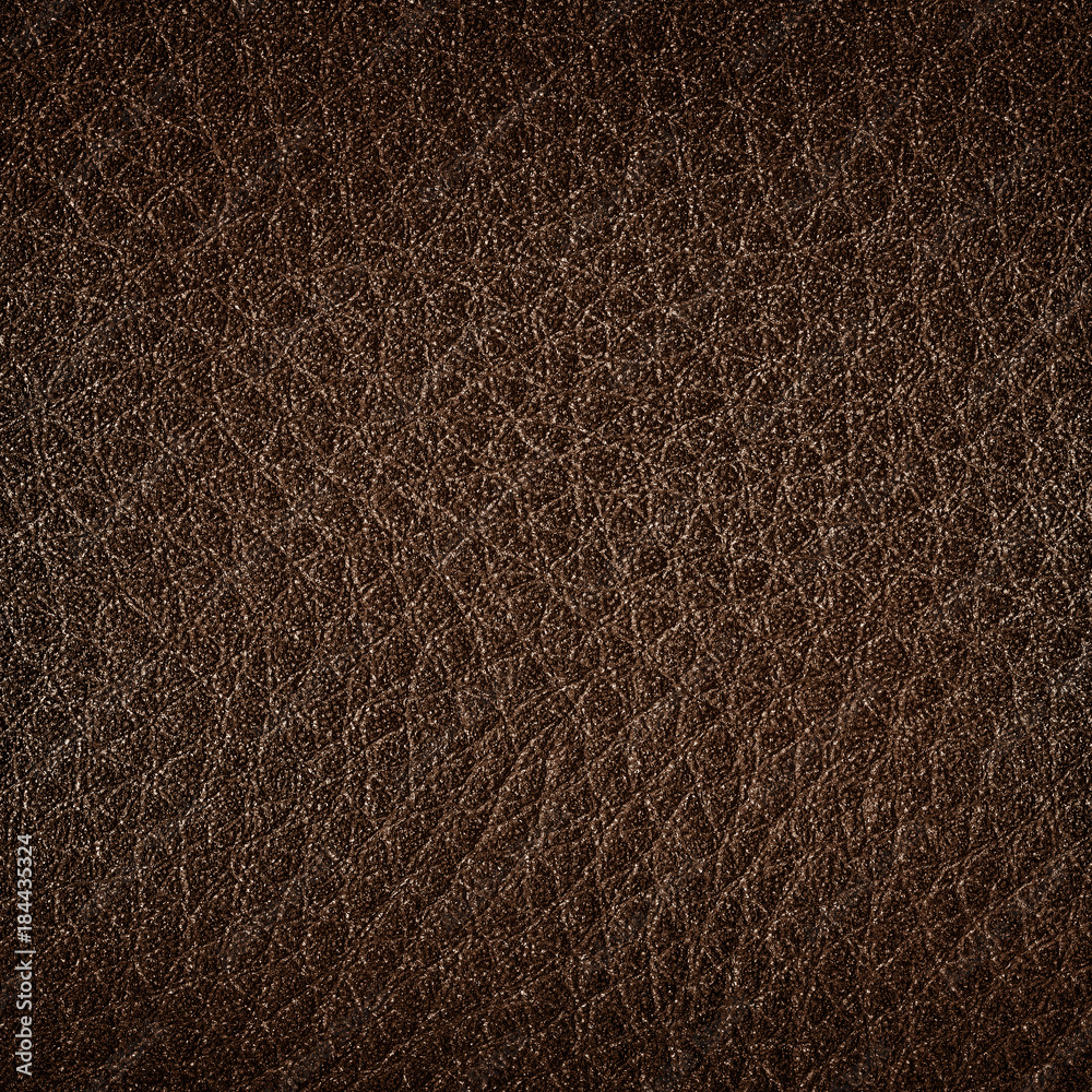 Wall mural Leather texture