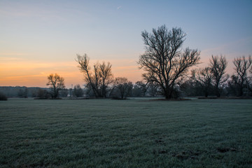 Fototapeta premium Frozen meadow at Morava river in early winter morning, Slovakia, Europe