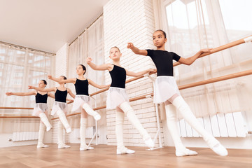 Fototapeta na wymiar Young ballerinas rehearsing in the ballet class.