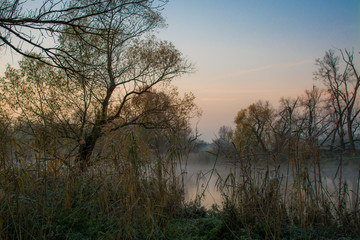 Frozen morning at Morava river in winter, Slovakia, Europe
