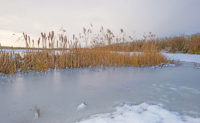 Fototapeta premium Shore of a frozen lake in a snowy field in sunlight in winter