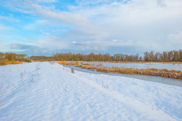 Fototapeta na wymiar Shore of a frozen lake in a snowy field in sunlight in winter