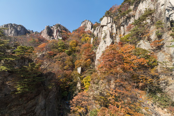 Chunbuk Wanju's foliage spot Daedun mountain climbing