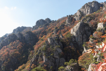 Chunbuk Wanju's foliage spot Daedun mountain climbing