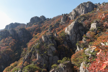 Chunbuk Wanju's foliage spot Daedun mountain climbing