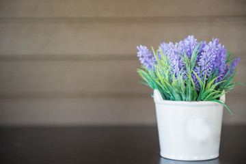 Flowers used to decorate