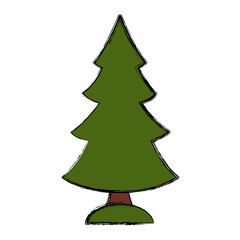 Tree pine isolated icon vector illustration graphic design