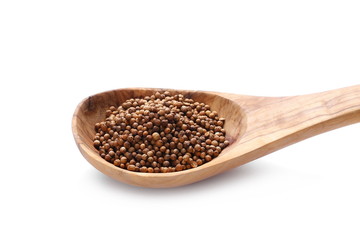  Coriander seeds in wooden spoon isolated on white