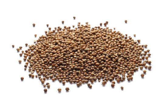 Heap Coriander Seeds isolated on white 