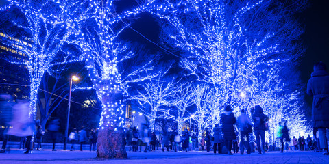 Illuminated street in Shibuya, Tokyo　青の洞窟