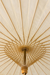 under the white bamboo umbrella