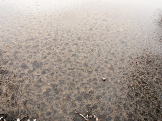 frozen over lake water surface outside winter december