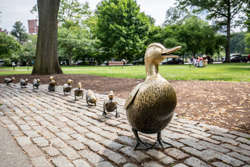 Make Way for Ducklings, Boston Public Garden - 184447917