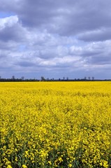 Obraz premium Unterwegs am Jakobsweg