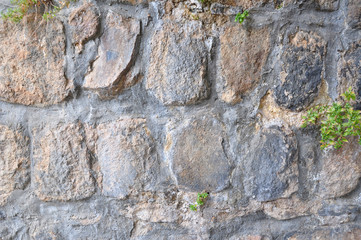 Masonry with a small amount of vegetation