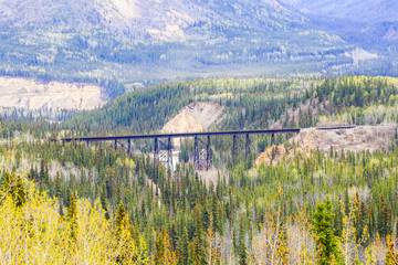 Trestle Bridge in Denali National Park