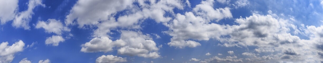 Panorama of cumulus clouds