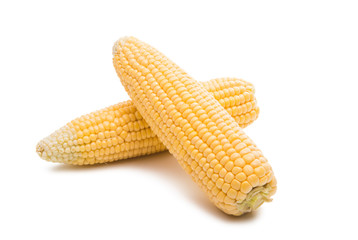 Corn cobs isolated