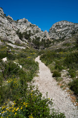 Paysage des calanques de Marseille