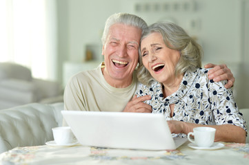 Senior couple  with laptop